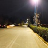 ΜΑΡΙΝΑ ΑΛΙΜΟΥ