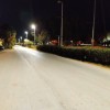 ΜΑΡΙΝΑ ΑΛΙΜΟΥ